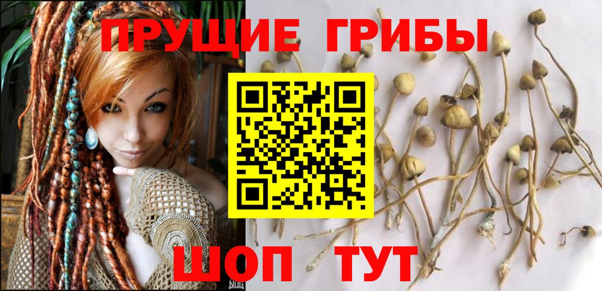 Псилоцибиновые грибы MAGIC MUSHROOMS  Вход с VPN  Джанкой 