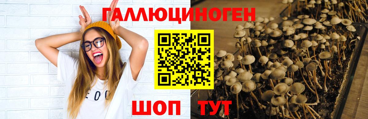 Псилоцибиновые грибы прущие грибы Джанкой